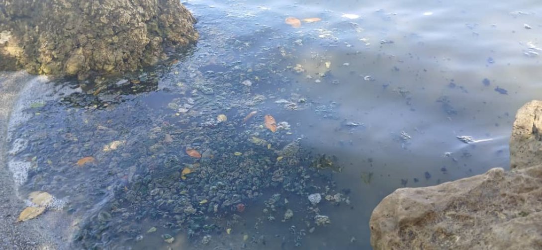 Contaminación en la Laguna de la Leche, Morón, Ciego de Ávila. Foto: Owen.