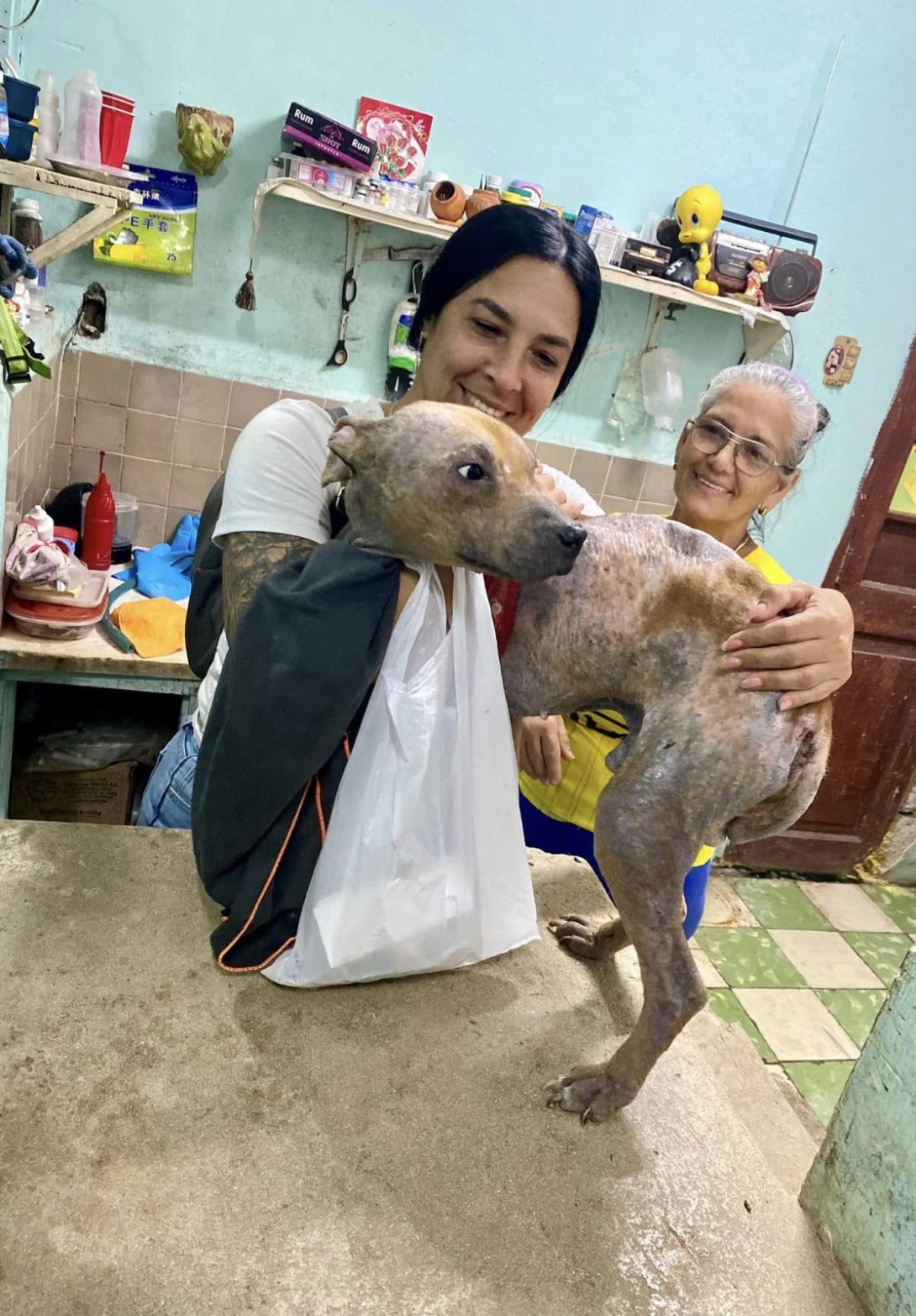 La protectora independiente de animales cubana Yenney Caballero tras rescatar un perro en condiciones delicadas de salud (noviembre de 2025). Foto tomada del perfil de Facebook de Yenney Caballero.