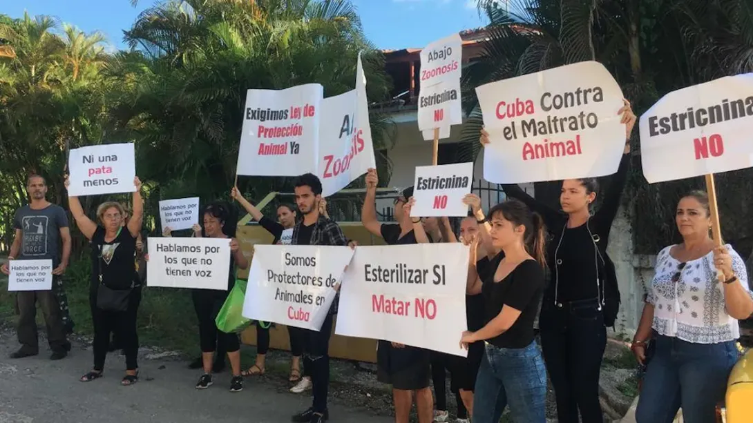 Protesta de los protectores cubanos de animales frente al local de Zoonosis contra el sacrificio de los animales callejeros, en La Habana (11 de noviembre de 2019).