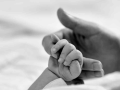 Mano de un bebé sostenida por la mano de su madre.