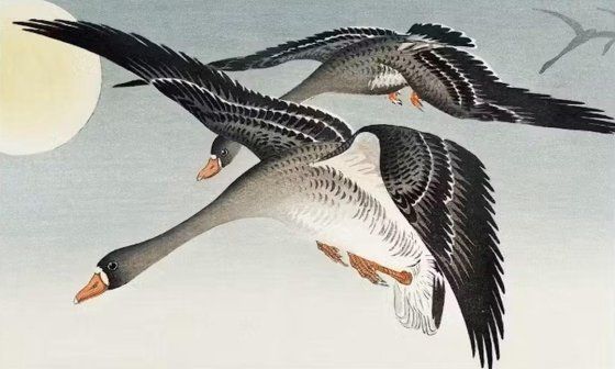 Ohara Koson: "Patos en la luna llena".
