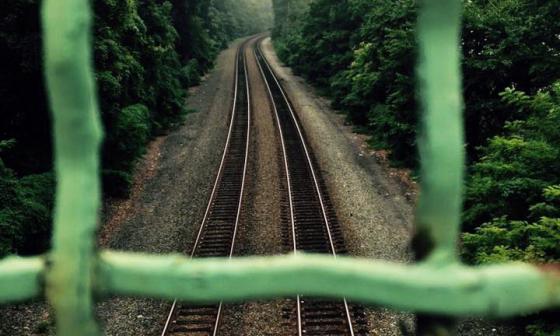Reja verde y vías del tren. Foto de Manny López