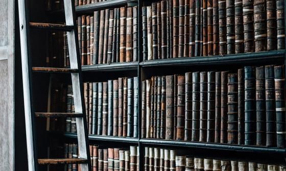 bookshelf, old, library