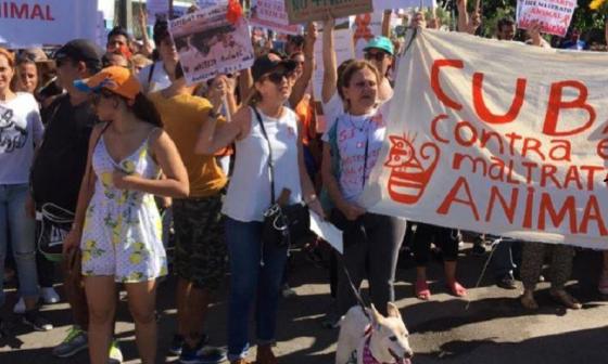 Animalistas cubanos protestan