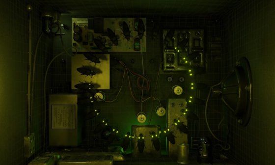 Fotograma de "Bioluminiscentes", videoarte de Paolo De.
