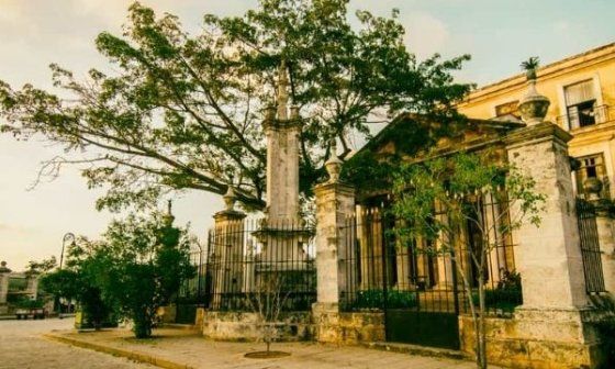 Ceiba del Templete en La Habana, sitio fundacional de la ciudad.
