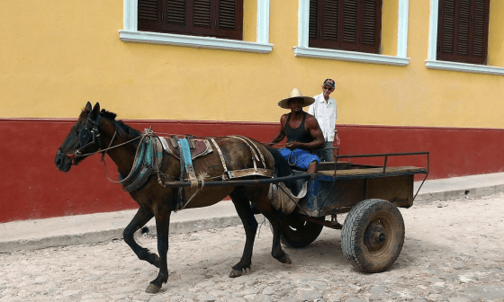 Hombre manejando un carretón de caballo.