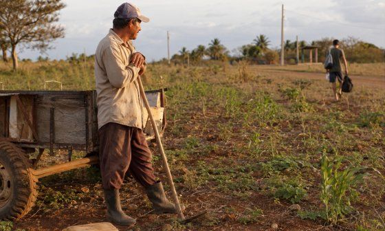 Cuba adentro. Campesino con guataca ve alejarse a su hijo hacia la ciudad