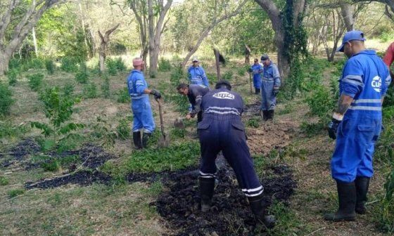 Labores de limpieza de la zona contaminada.