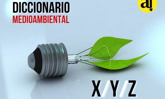 Diccionario Medioambiental. Letras XYZ
