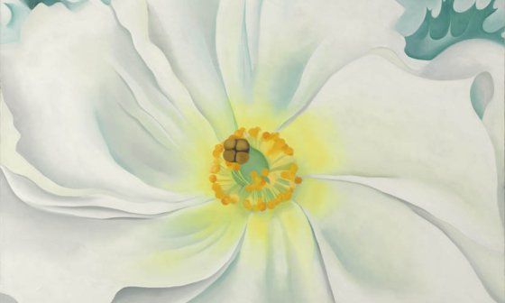 Georgia O'Keeffe: "Flor blanca" (1929).