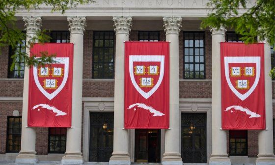 Recreación de la fachada de la Biblioteca Widener, de la Universidad de Harvard, Estados Unidos.