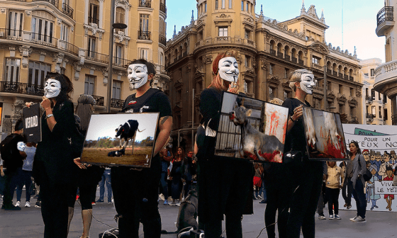 Activistas de Anonymous for the Voiceless mostrando imágenes de animales maltratados.