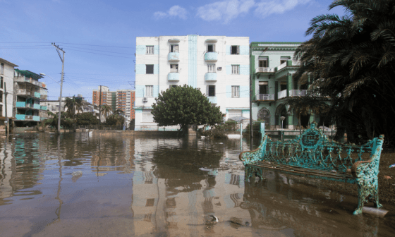 Paisaje urbano muestra una ciudad inundada.