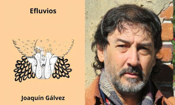 Cubierta del libro "Efluvios" (Media Mix 305 Ediciones, 2025) y su autor Joaquín Gálvez.
