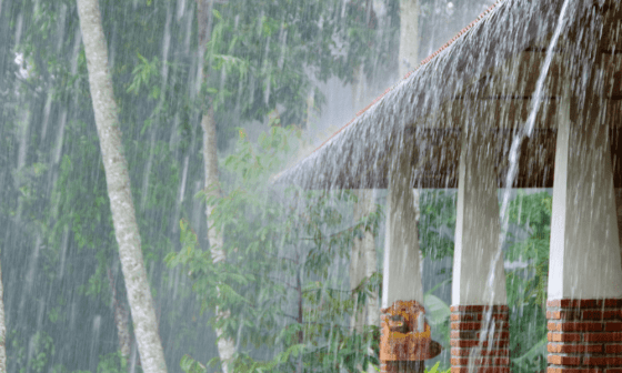 Lluvia cayendo sobre un techo y en el campo.