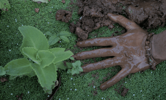 Mano enfangada sobre la yerba verde.