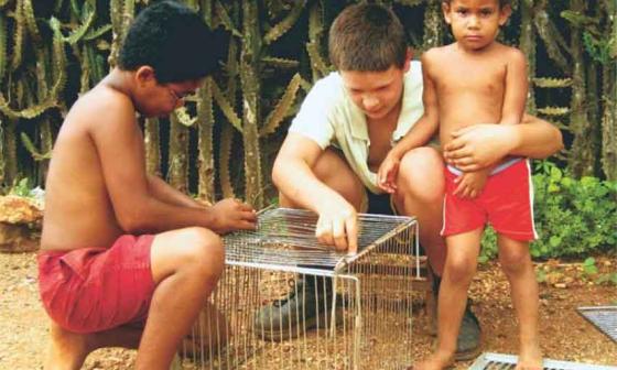 Niños construyen una jaula. Foto: Francis Sánchez