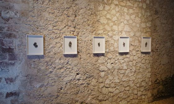 Exposición de Oslendy Hernández en La Habana