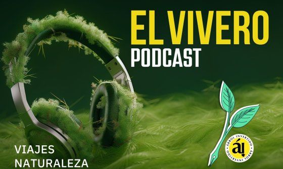 Podcast El Vivero. Portada web