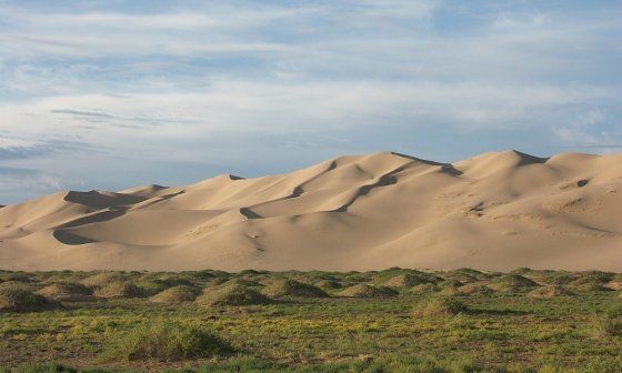 Proyecto de reforestación frente al desierto Ghobi, en China.