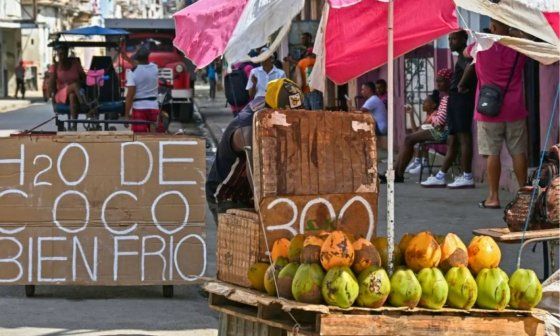 Vendedor privado de agua de coco en Cuba.