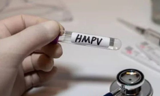 Virus hMPV, descubierto en 2001, pero se ha demostrado que afecta a los humanos desde los 50.