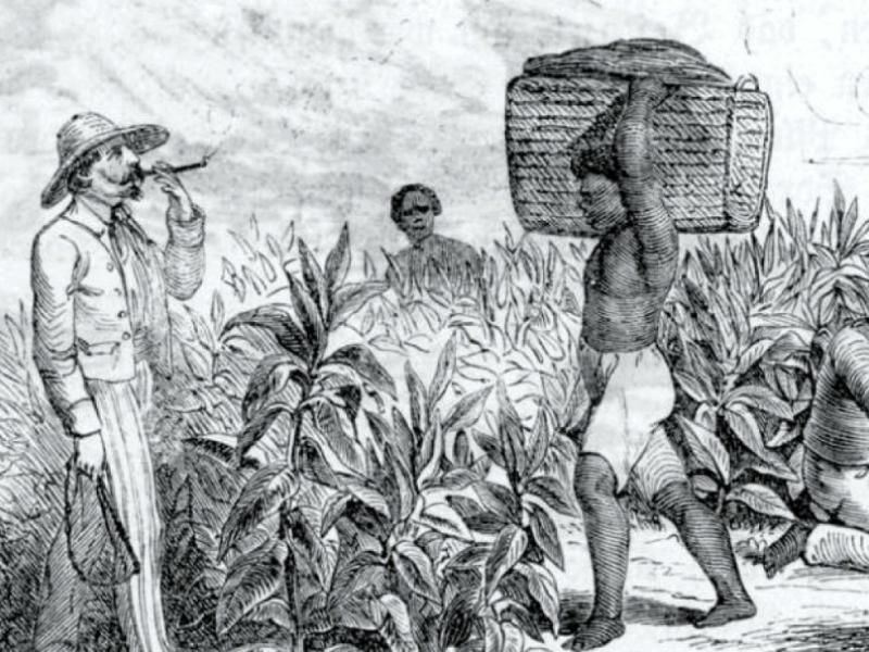 “Triste tierra, como tierra tiranizada y de señorío”