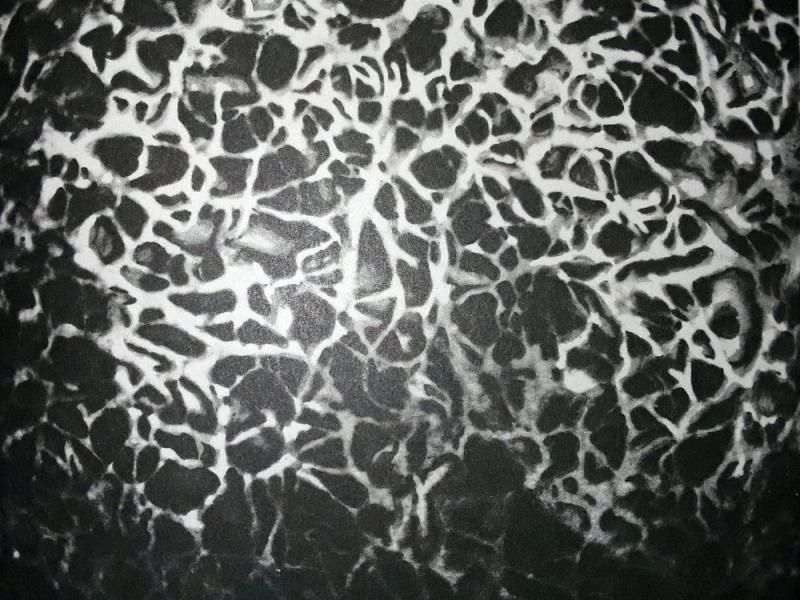 Líneas abstractas. 