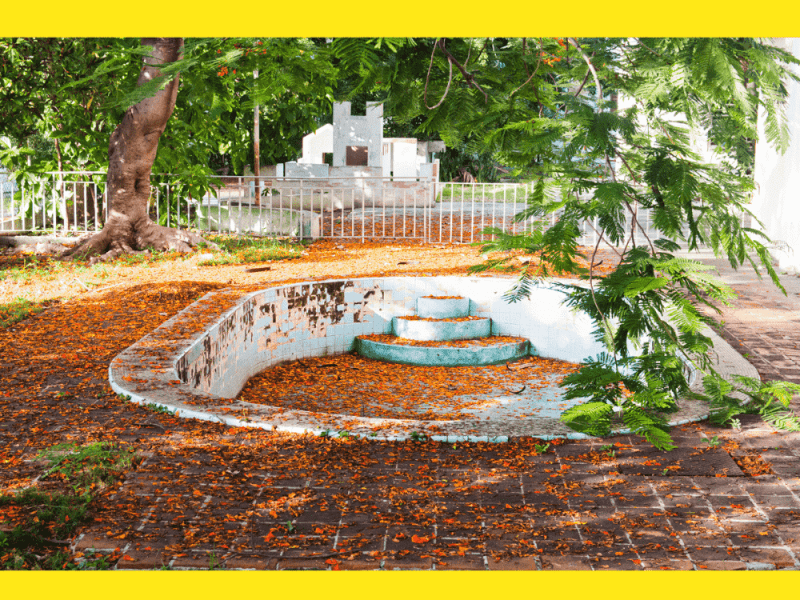 Parque abandonado en Cuba se cubre de naturaleza.