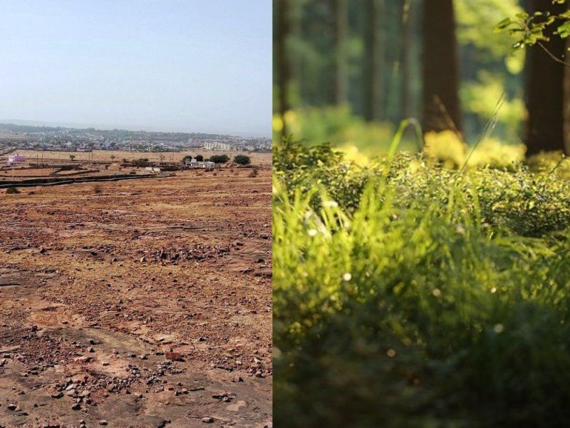 Suelo erosionado vs suelo del bosque.