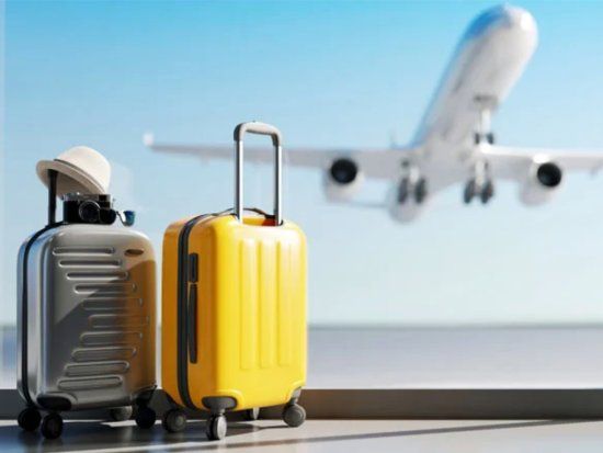 Maletas y un avión despegando. Escena de un aeropuerto internacional.