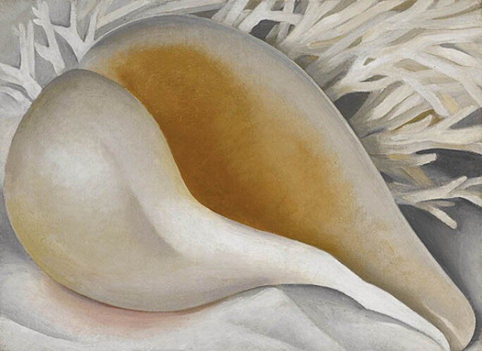 Georgia O'Keeffe: "Concha" (1937). |  Imagen:  
