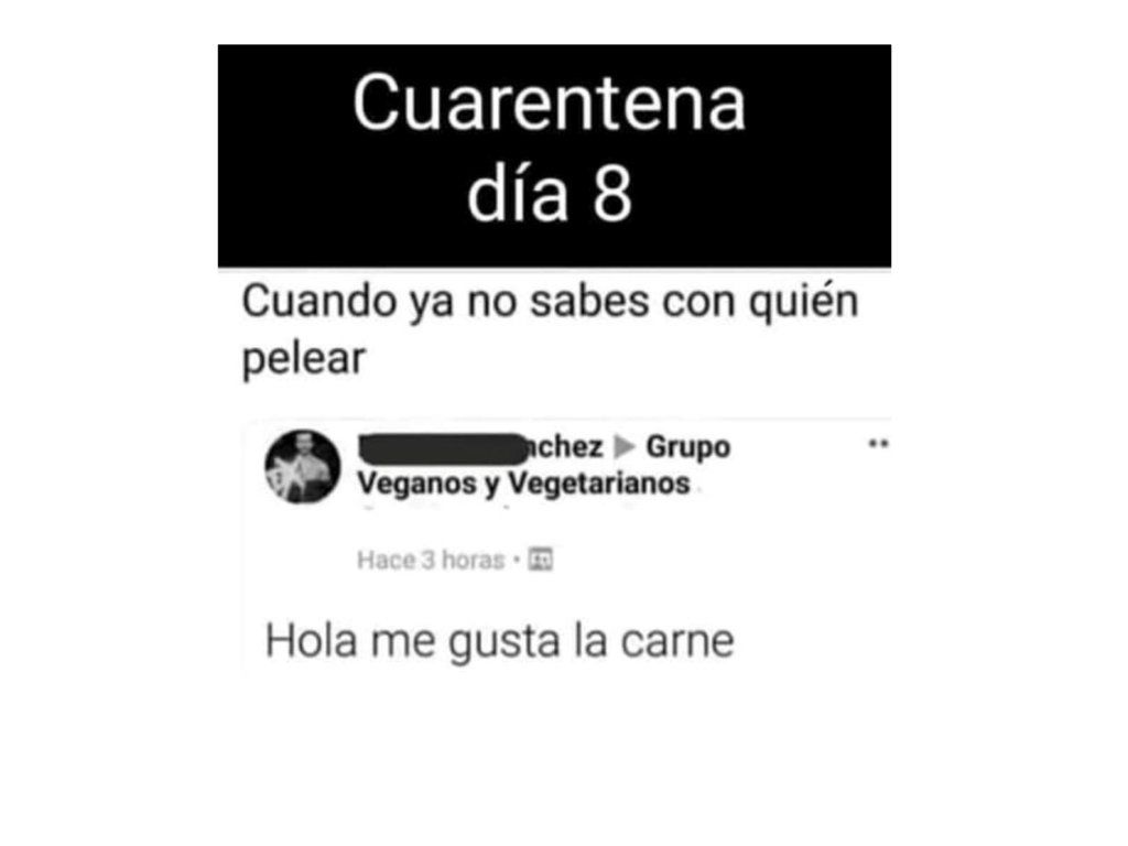  |  Imagen:  