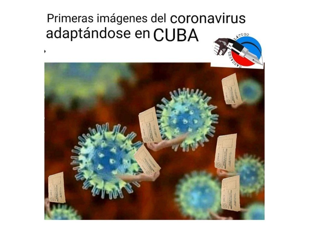  |  Imagen:  