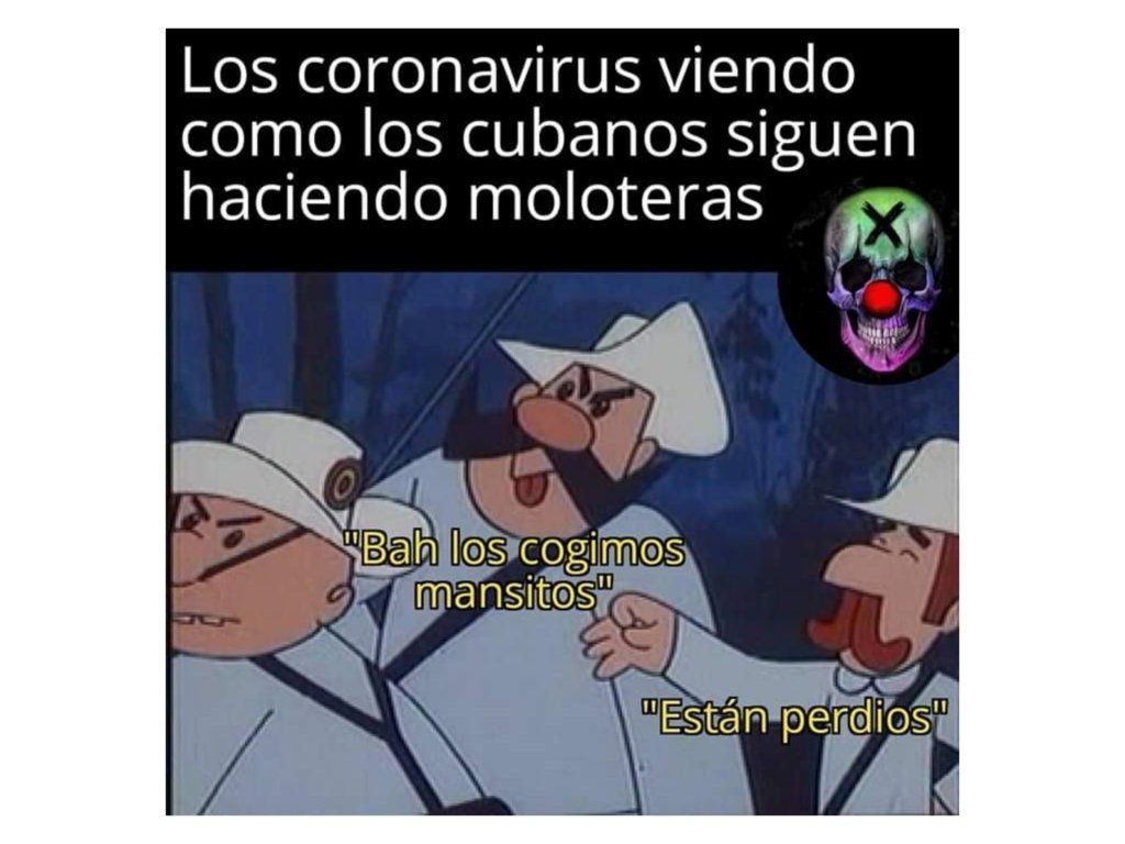  |  Imagen:  