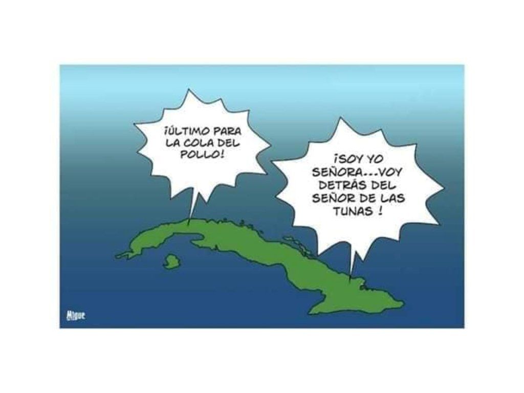  |  Imagen:  