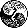 Imagen de autor en Árbol Invertido.
