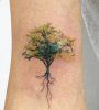 Árbol Invertido